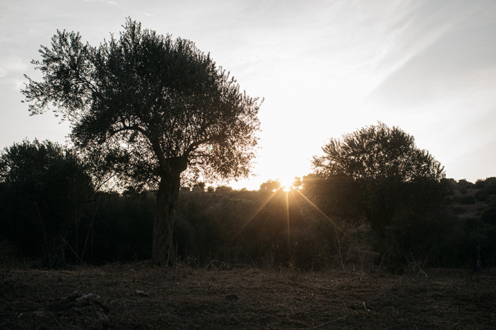 Remembering a Dark Past, Ensuring a Bright Future